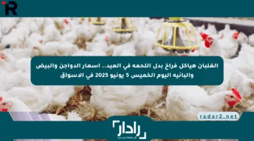 الغلبان هيأكل فراخ بدل اللحمة في العيد.. أسعار الدواجن والبيض والبانية اليوم الخميس 5 يونيو 2025 في الأسواق